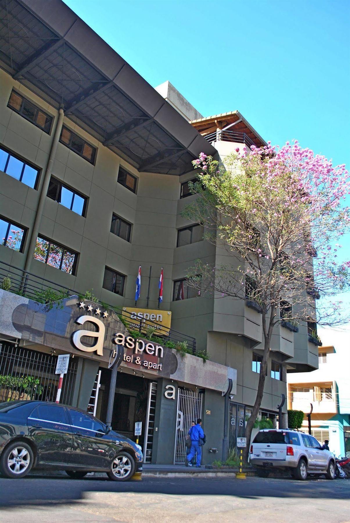 Aspen Hotel&Apart Asuncion Bagian luar foto